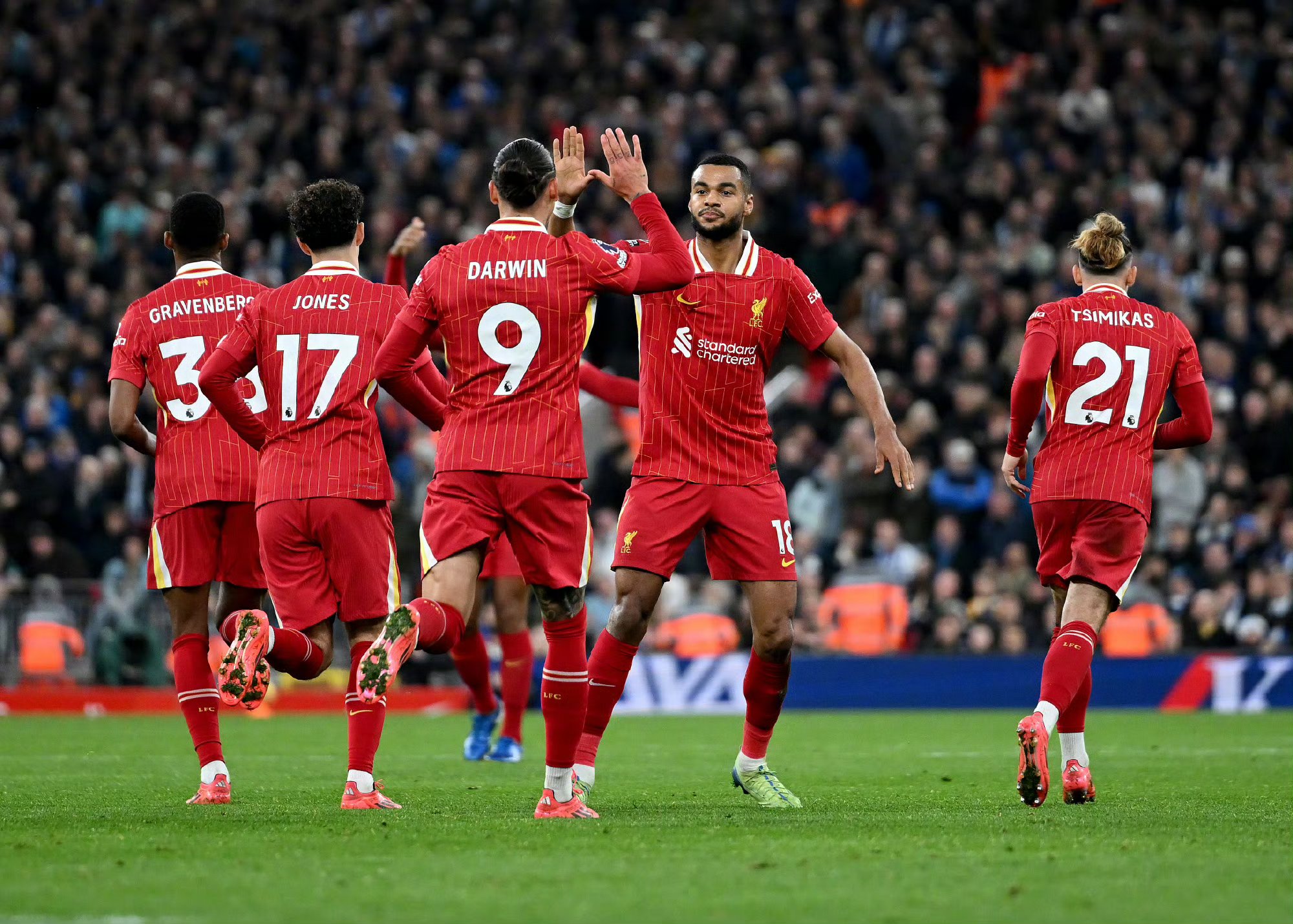 美国横扫利物浦,哈里·凯恩关键制胜 美国横扫利物浦,哈里·凯恩关键制胜