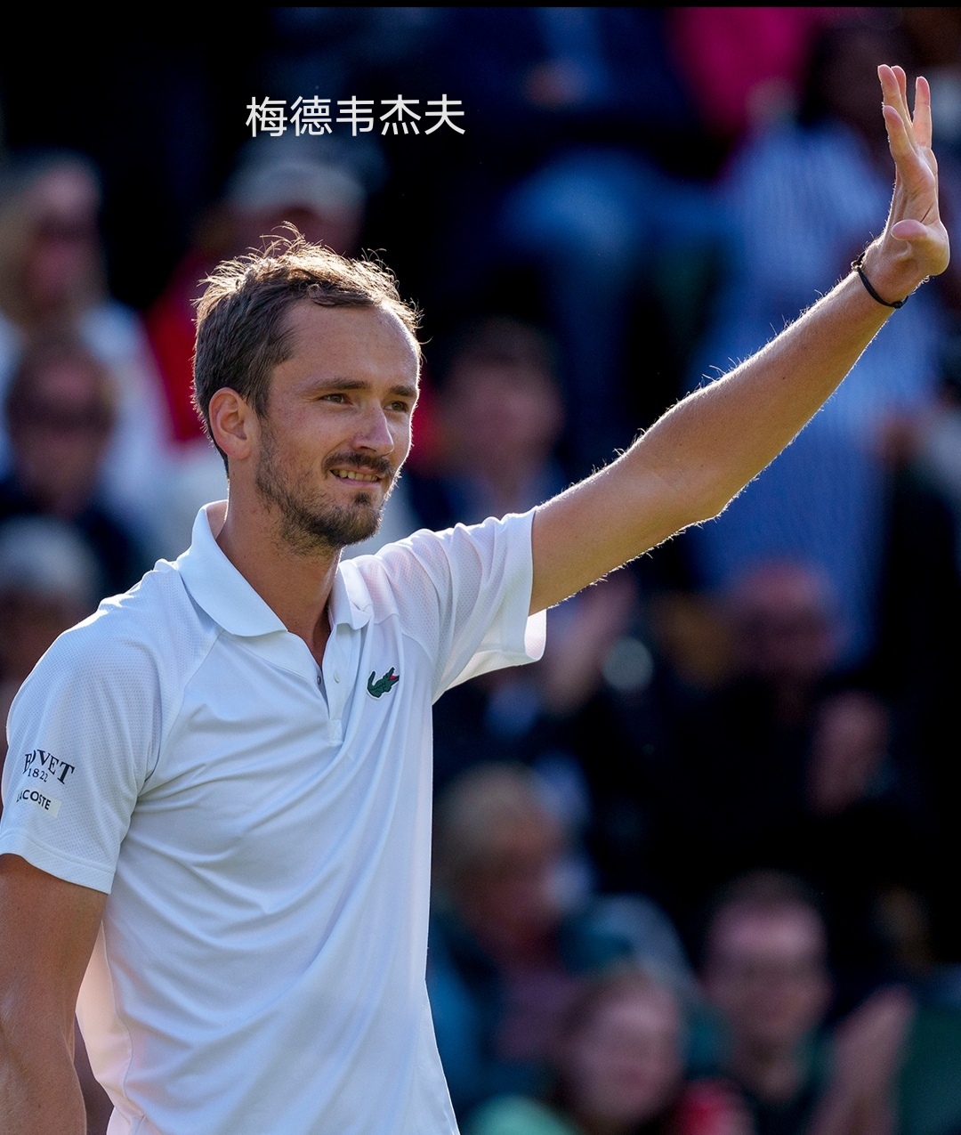 温网完胜年终总决赛，梅德韦杰夫点燃赛场