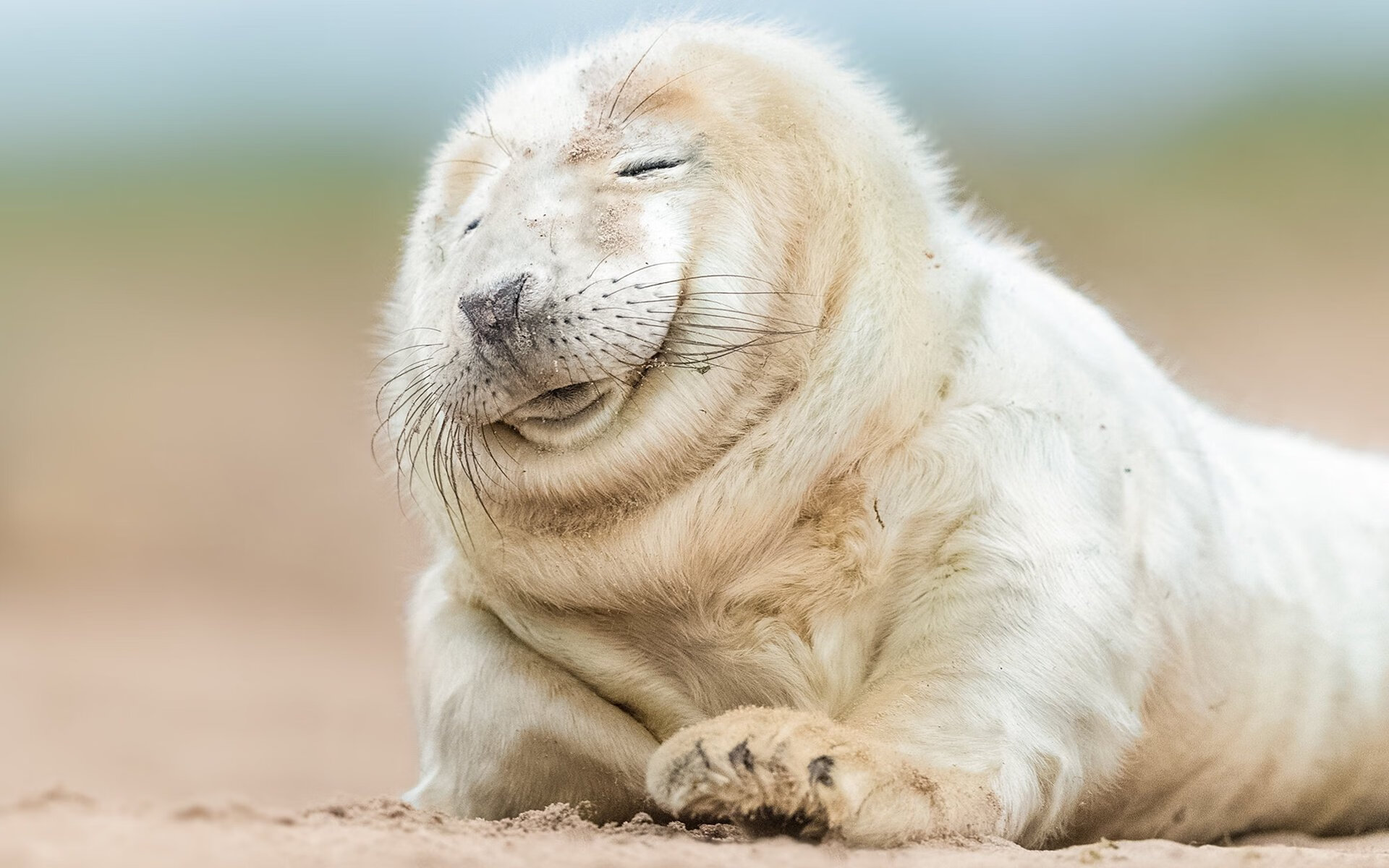 跨越太平洋的篮球之桥，雷霆力克深圳，保罗惊艳四座的启示