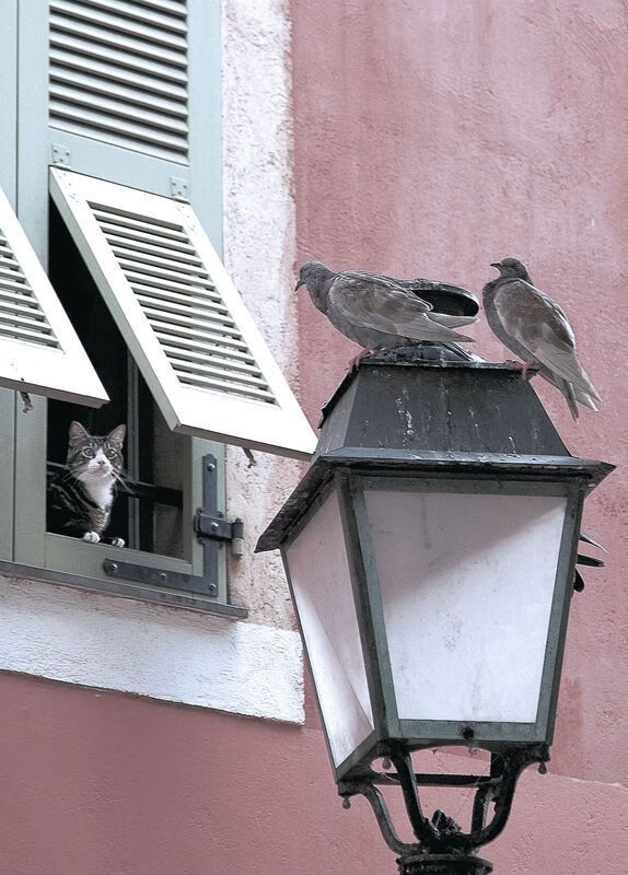 爱游戏在线-鏖战神域，当马丁内利的王权降临希腊与挪威的战场