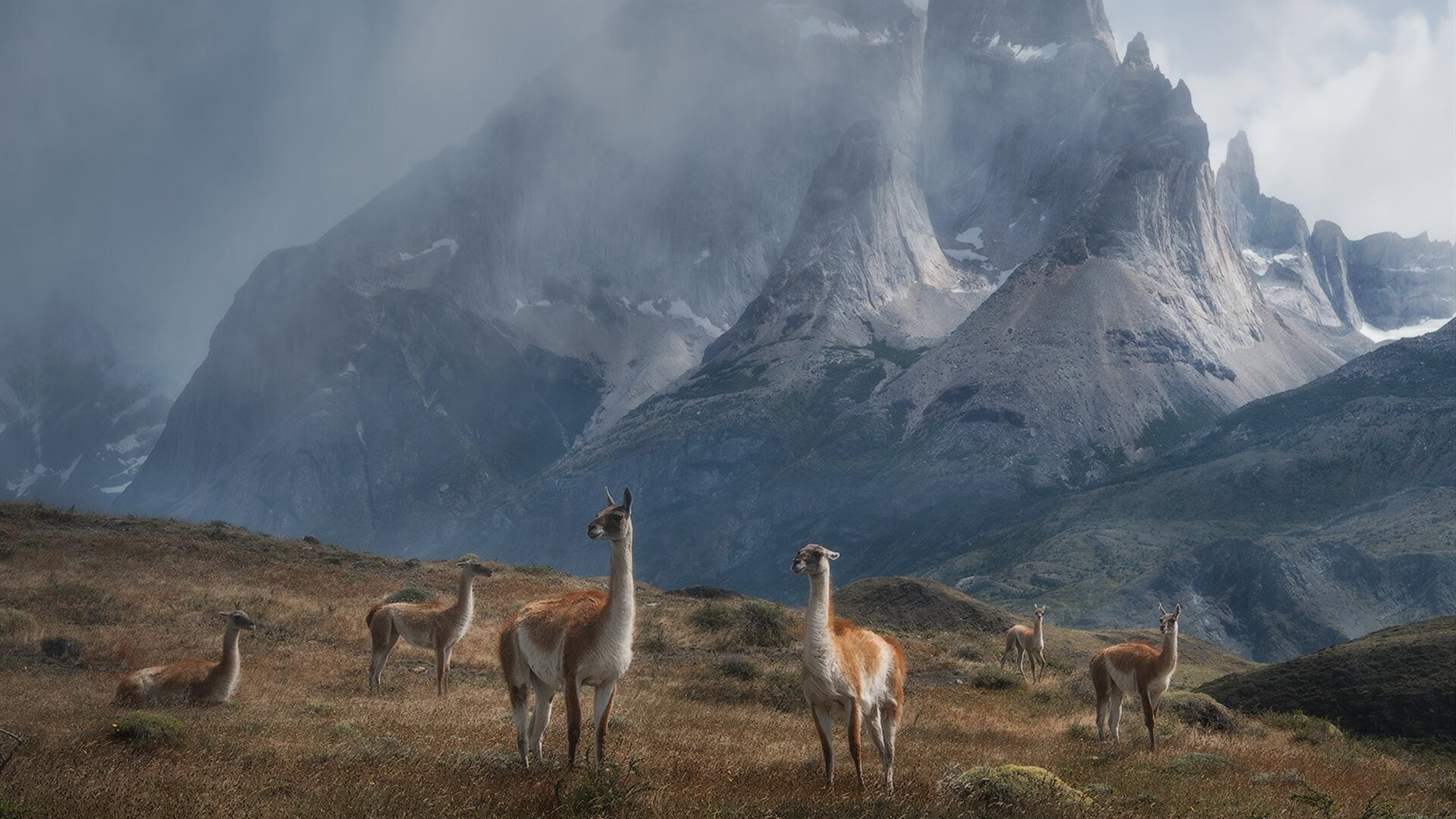 冰与火的对决,哈斯上演终局绝杀,诺里斯以炽热状态照亮赛道