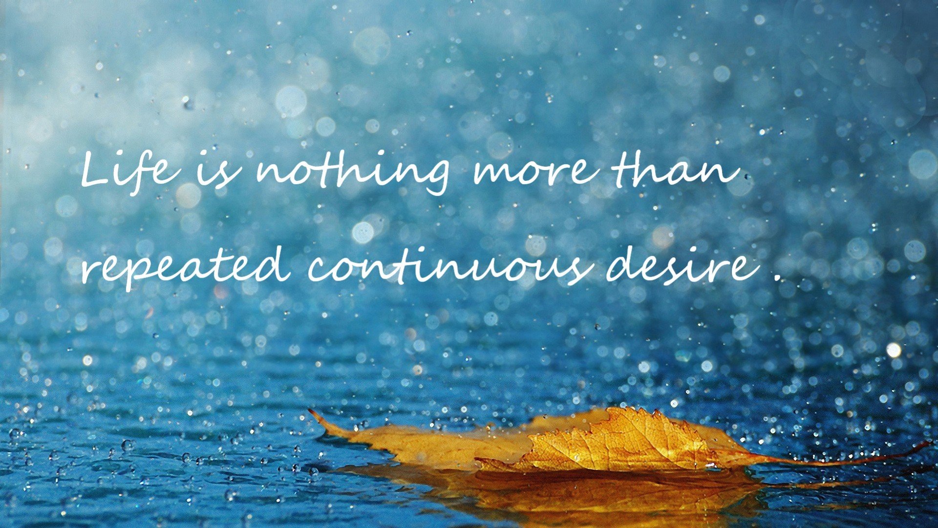 冰与火的对决,哈斯上演终局绝杀,诺里斯以炽热状态照亮赛道