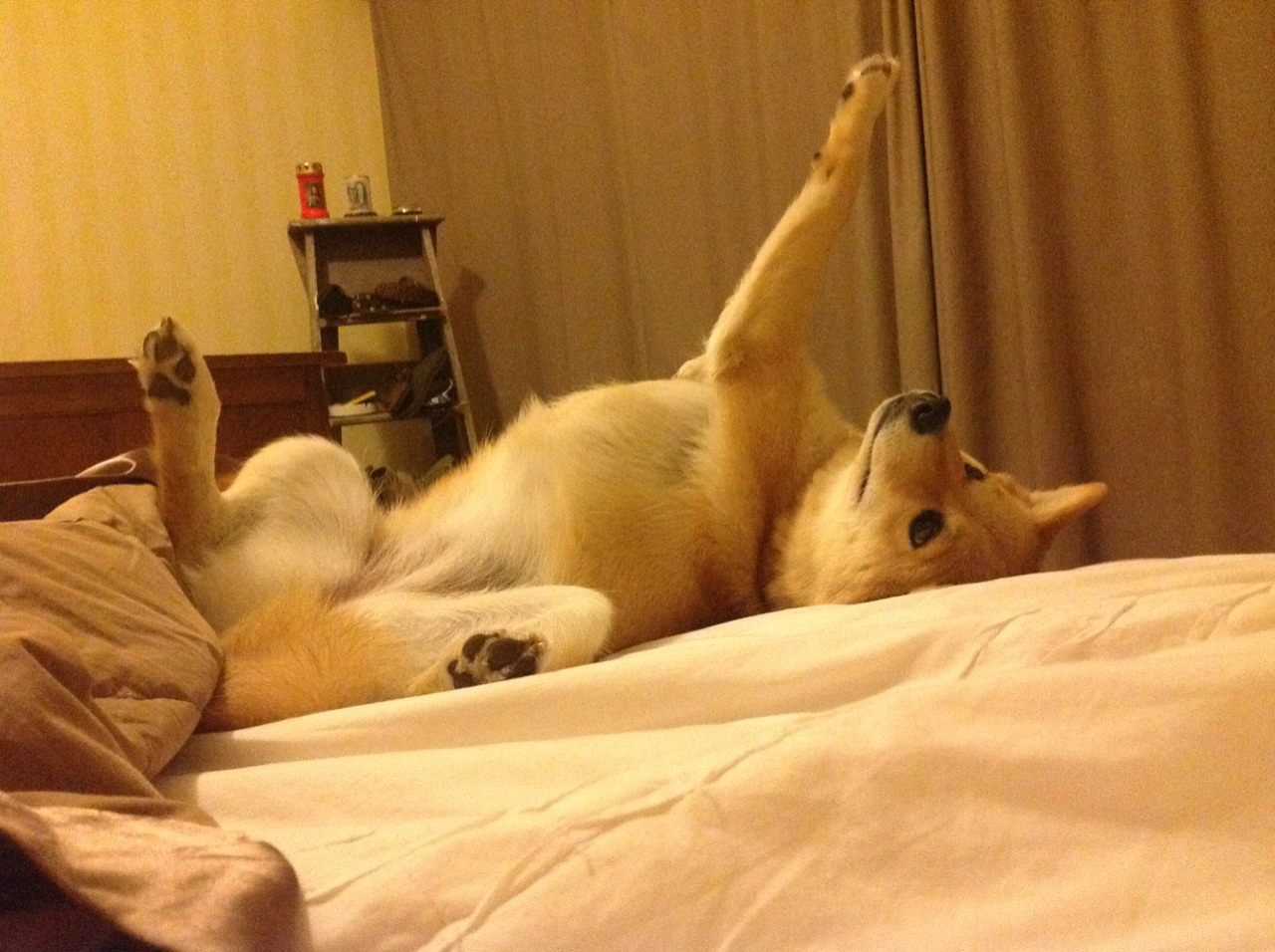 绿茵场上的总决赛,马德里竞技以NBA式全局掌控,稳稳拿下瑞士铁壁