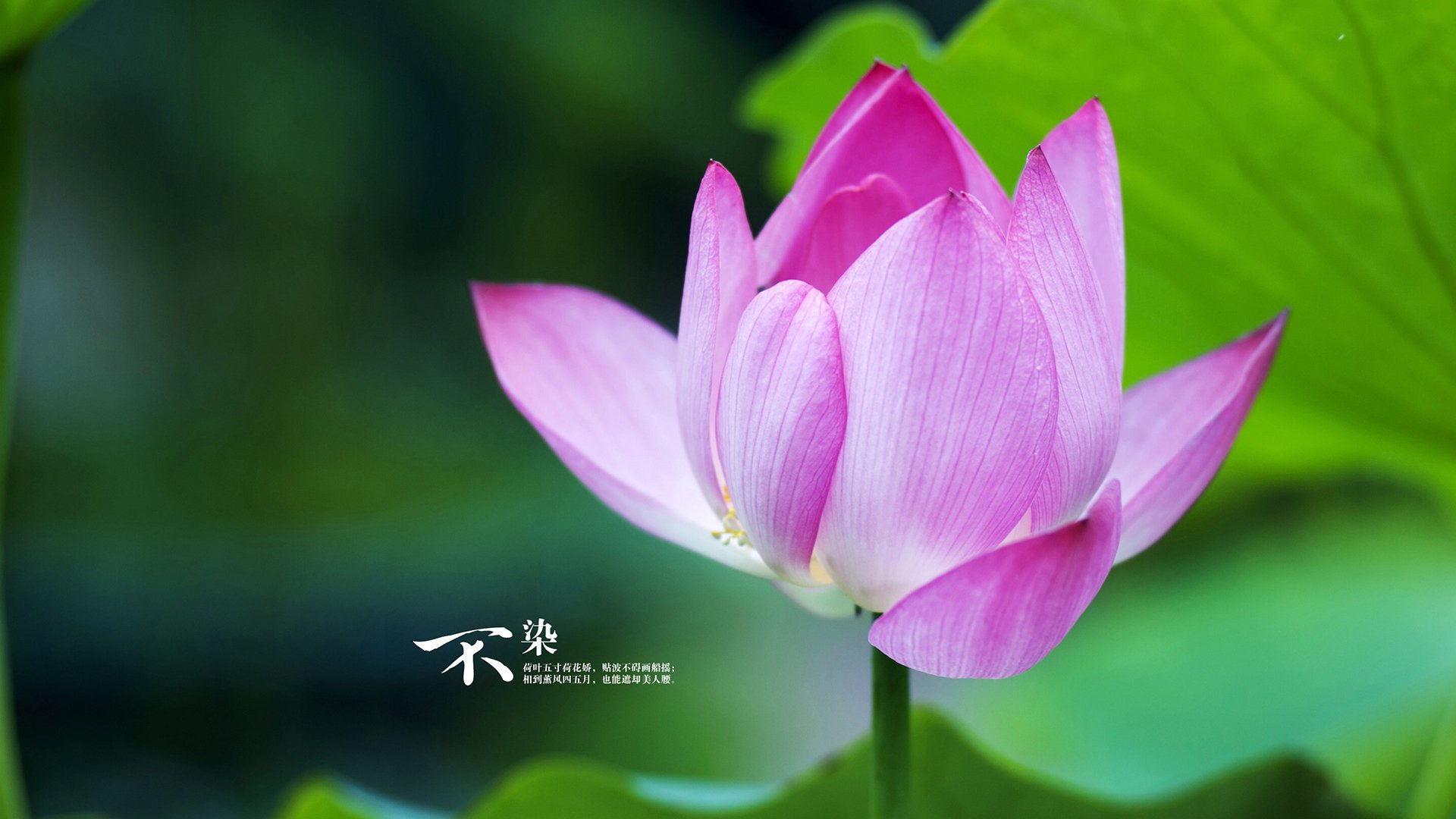 绝地逆转与接管时刻，CBA与意甲共证，体育世界永不缺英雄