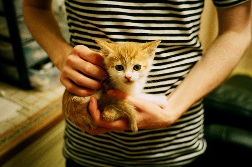 湖人绝境拼出假克莱,一场血战揭开的,不只是胜利