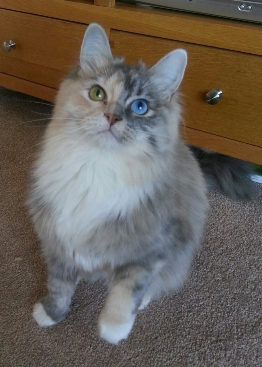 利拉德末节狂飙19分主宰攻防,开拓者窒息式火力压制太阳迎关键胜利