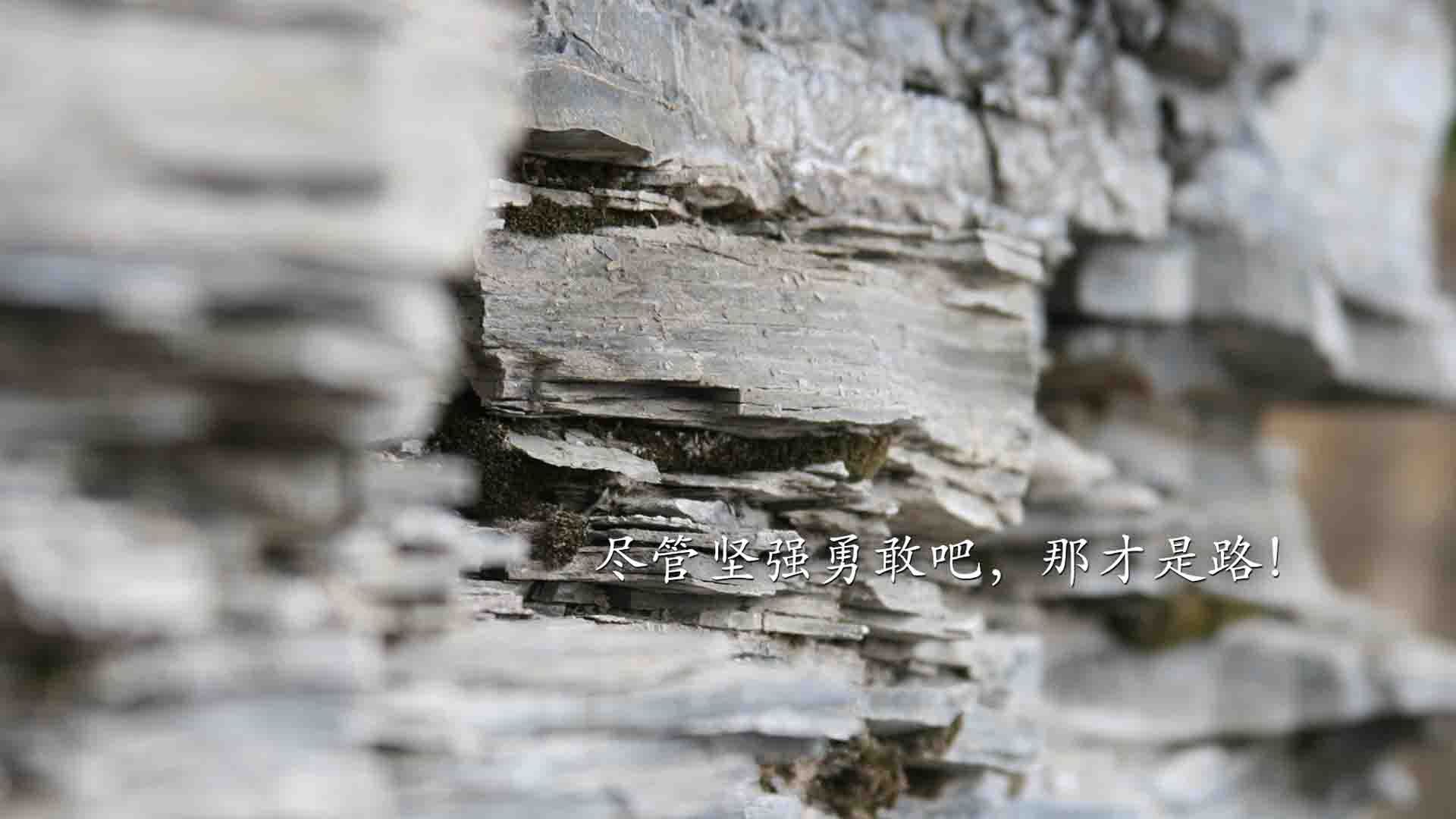 夜战启新章,巴尔韦德一人扛起一座城