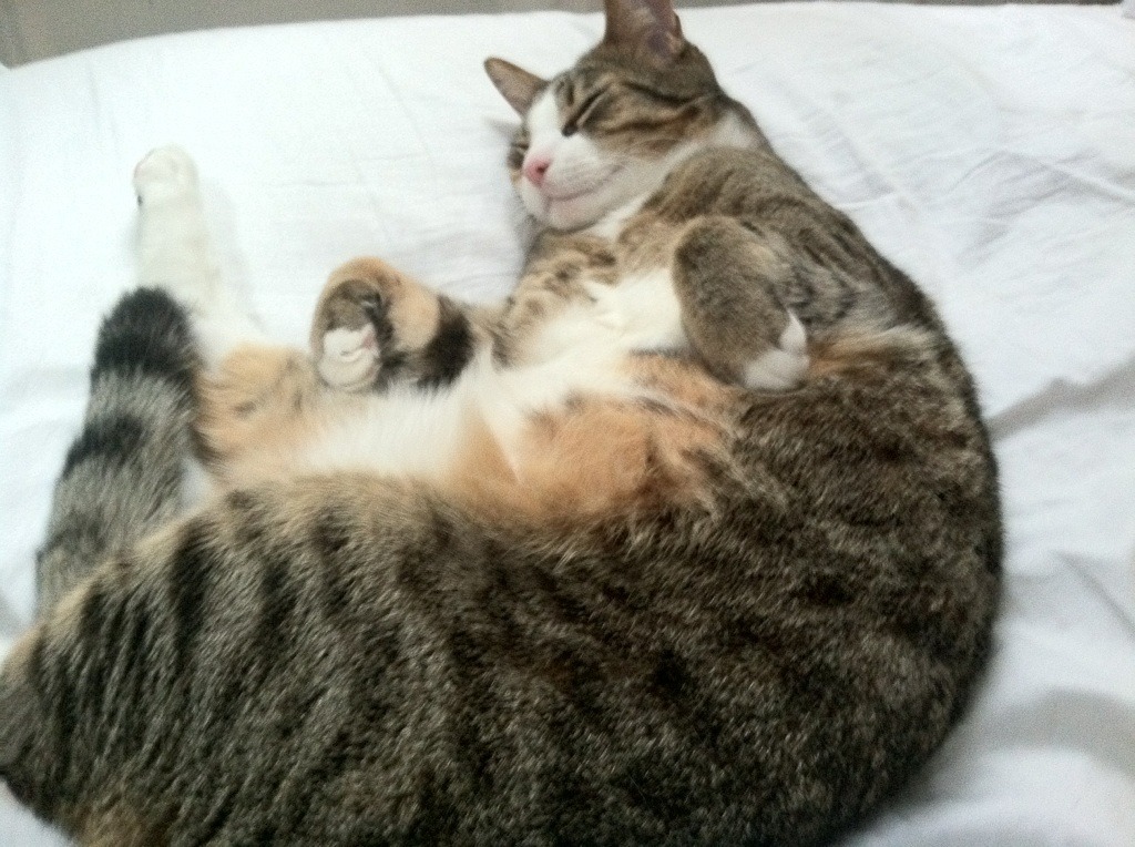 奥运周期下的博弈，76人如何用一场焦点战粉碎火箭的升空计划