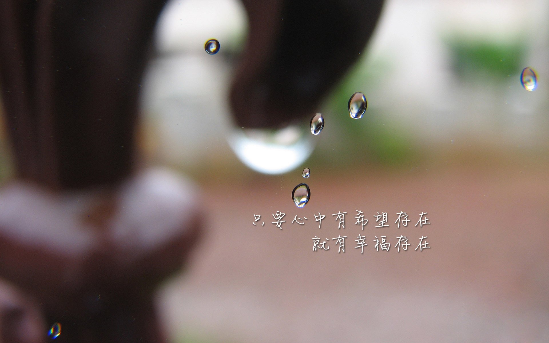 沙漠中的孤星，厄瓜多尔碾压伊朗背后，魔笛独奏的告别序曲