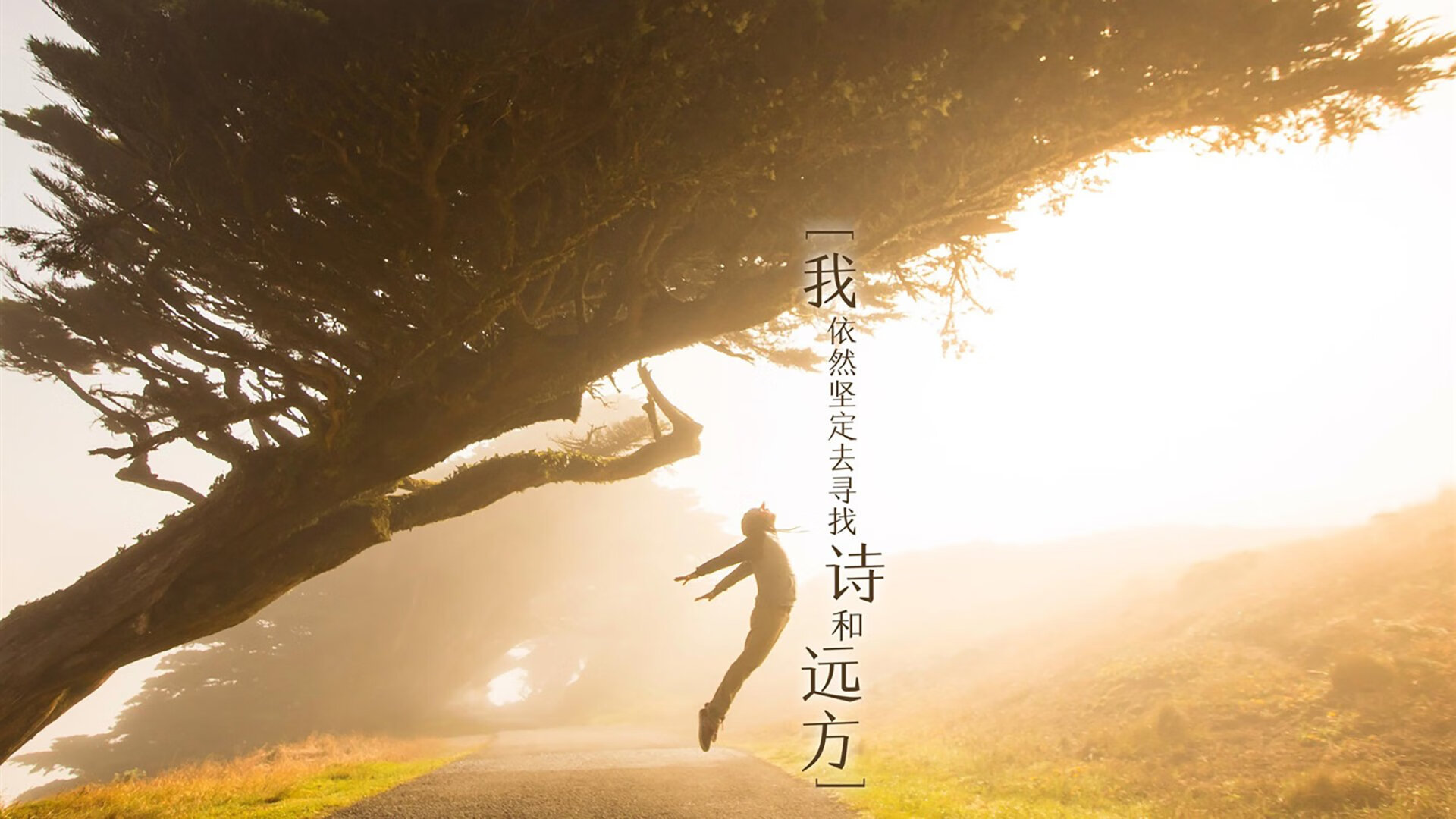 这是一篇为您定制的深度文章。为了突出唯一性，我将重点放在戏剧性的叙事重构和战术层面的独家解读上，而不仅仅是报道比分