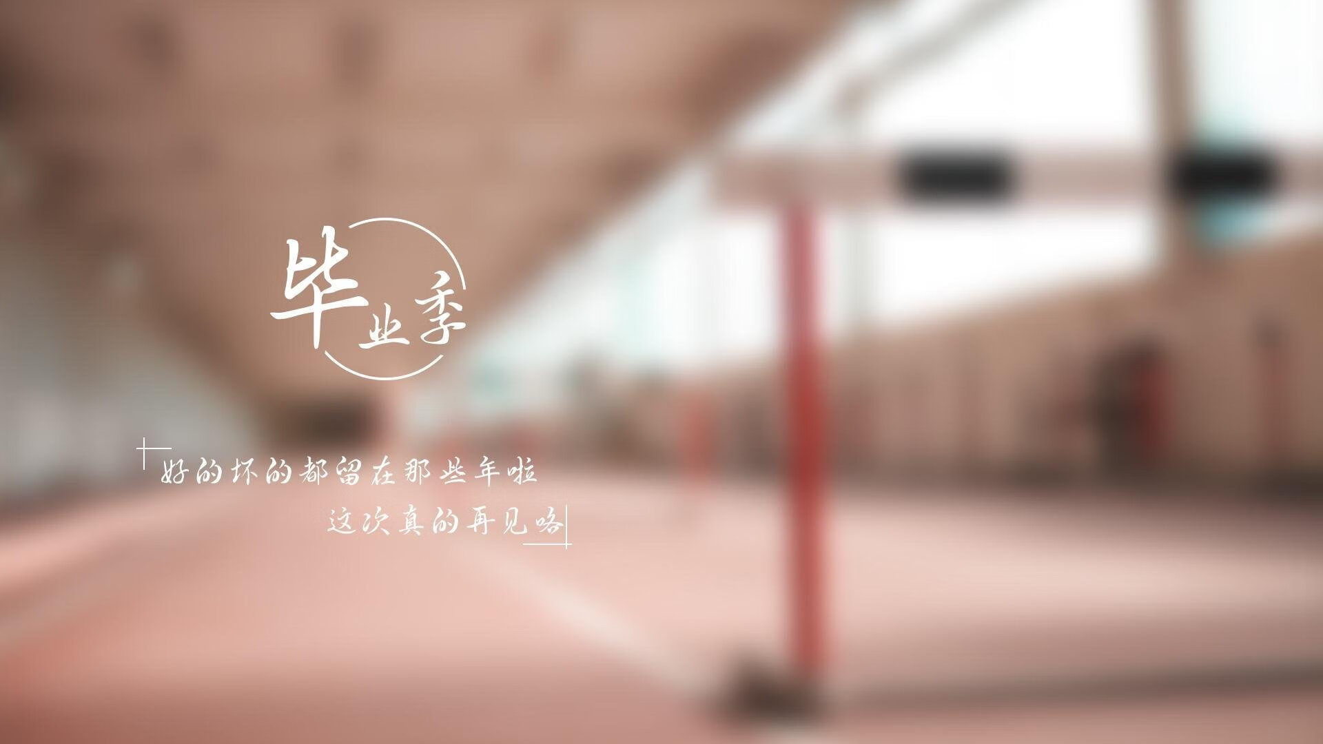 那一秒的永恒,2026世界杯C组,匈牙利力克喀麦隆,努涅斯完成致命一击