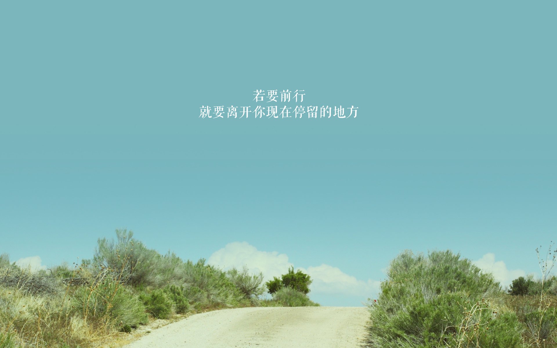 备选（按风格分类）