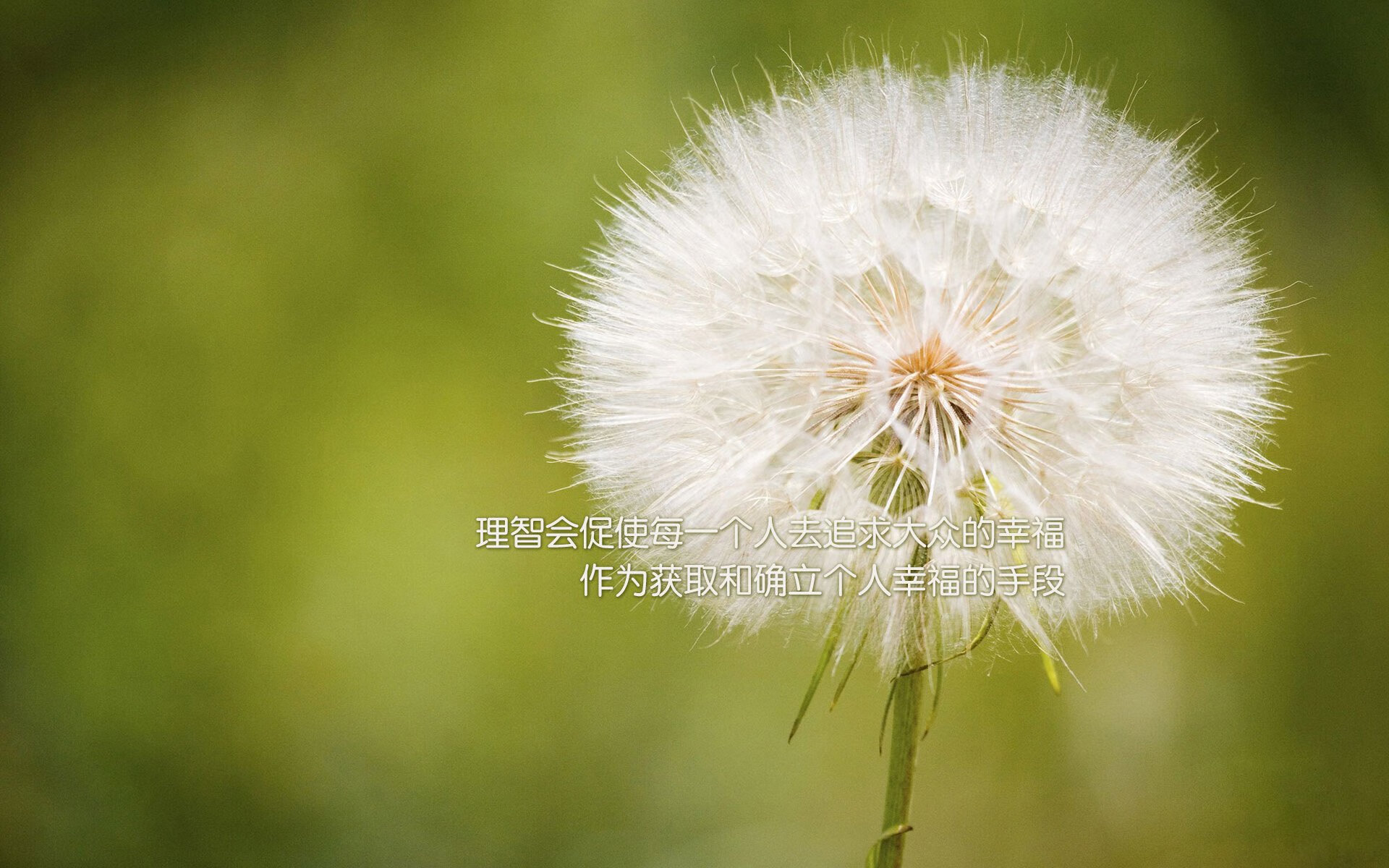 中场定乾坤,2026世界杯H组关键战,斯洛伐克横扫伊朗,福登带队诠释控制之美