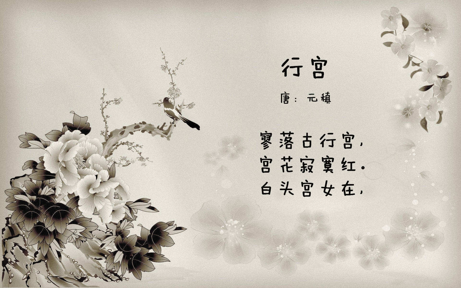 蓝月当空,孙兴慜的节奏哲学,如何在2026世界杯B组为厄瓜多尔奏响命运交响曲